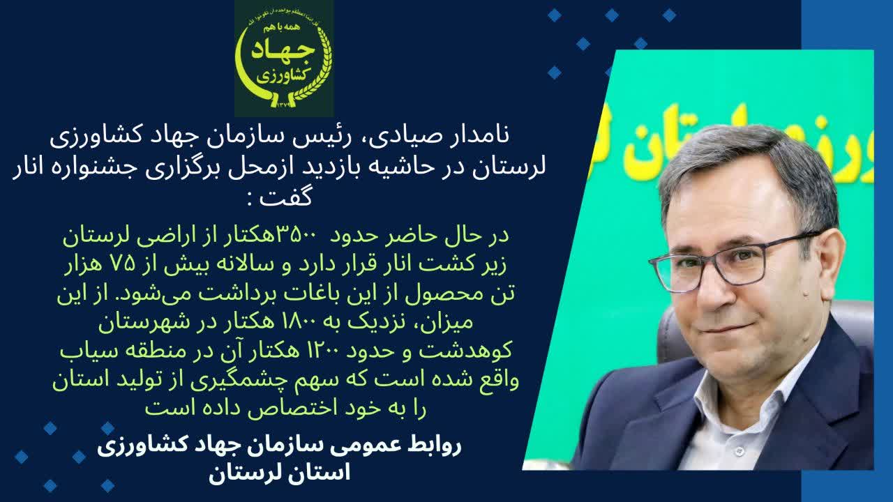 برداشت سالانه بیش از ۷۵هزار تن محصول انار درباغات لرستان
