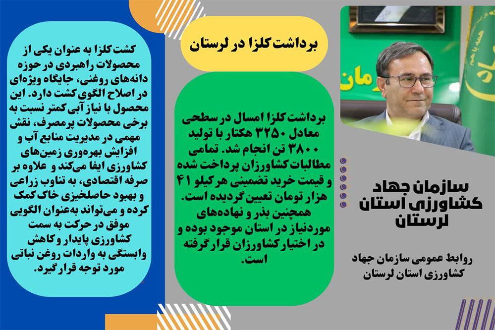 برداشت ۳۸۰۰ تن کلزا در لرستان و تسویه کامل مطالبات کشاورزان