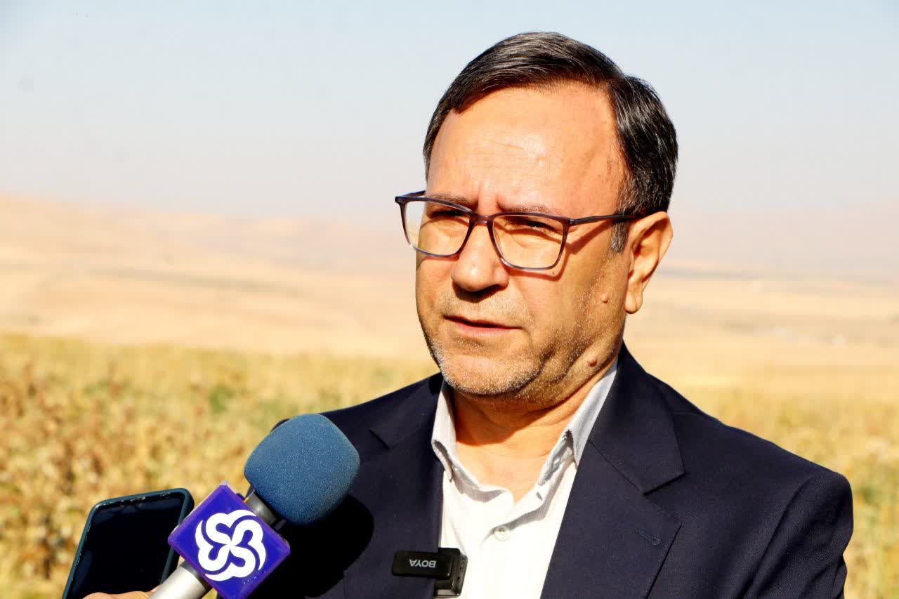 تجمیع اراضی، موتور محرک اقتصاد کشاورزی ؛ یکپارچه سازی ۱۸۰ هکتار از اراضی علی‌آباد سلسله